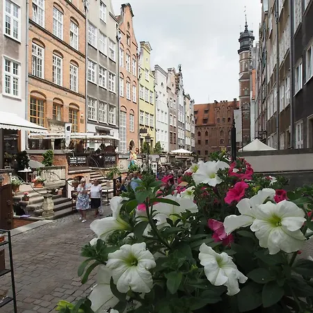 Grand-tourist Amber Rose * Gdansk