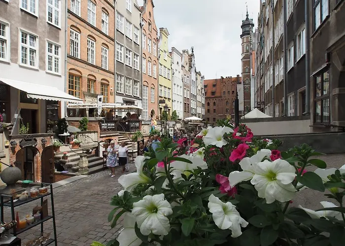 Grand-tourist Amber Rose * Gdańsk